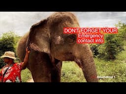 EX PATS - DO NOT LEAVE HOME WITHOUT YOUR EMERGENCY INFO