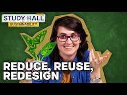 Sustainable Design: Biomimicry and Upcycling | Sustainability 25 of 31 | Study Hall