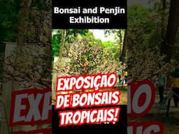 Exposição de Bonsais Tropicais na Ásia #shorts
