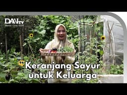 Sejak Berkebun Jarang Sekali Belanja Ke Pasar