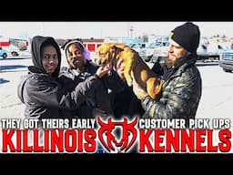 THEY DROVE 19 HOURS TO PICK UP THEIR AMERICAN BULLY PUPPY FROM THE WORLD FAMOUS KILLINOIS KENNELS!!!