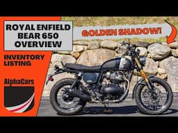 Score a Bargain on a Like-New 2025 Royal Enfield Bear 650!
