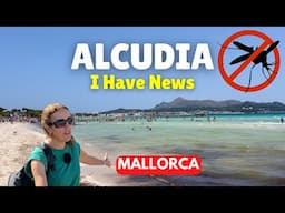 ALCUDIA UPDATE: Green Seas & Mosquitos, Mallorca | 13 June 2025