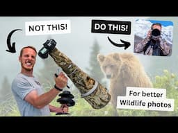 My TOP exercises to quickly improve your Wildlife photos. Do these at home, see results in the field
