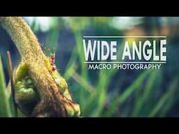 Laowa 15mm f/4.5 0.5X Wide Angle Macro Lens – Full Review!