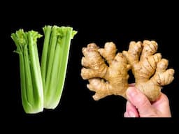 The best PLANT for LIVER, INTESTINES, SKIN and IMMUNITY!