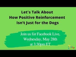 Let's Talk About How Positive Reinforcement Isn't Just for the Dogs