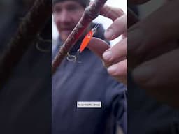 How-To Make a Fishing Rod in a Pinch