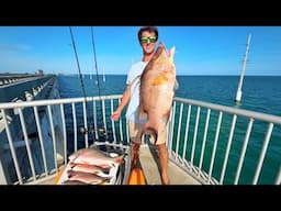 Land-Based Fisherman's Paradise | Bridge Fishing Catch and Cook