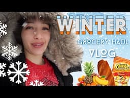#Blizzard x #Grocery x #MirandaSings Vlog