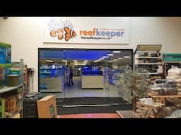 What Makes A Great LFS? The Prestige Reef Dork Show Ep 89