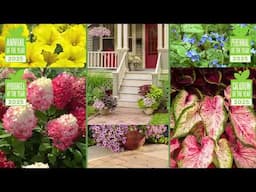The Brand Gardeners Trust