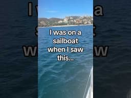 Mermaid Sighting in the Puerto Vallarta Sea! #mermaid #realmermaid