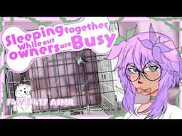 ASMR [F4F TF4TF] Sleeping together while our owners are busy [Puppy Listener & Speaker][Sleep aid]