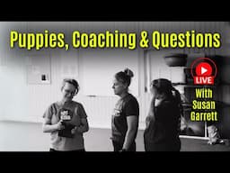 Puppies, Coaching, Questions & Next Steps