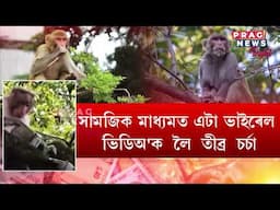 এডাল গছৰ পৰা ৫০০টকীয়া নোটৰ বৰষুণ