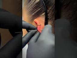 ✨ GOLD HELIX PIERCING ✨#helixpiercing