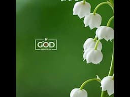 April 23 - Fearfully and Wonderfully Made