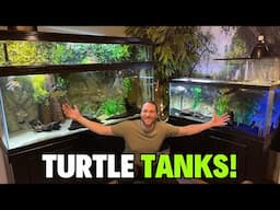 My Turtle Tank Setups! - Which One is Your Favorite?!