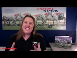 A Hisotry of Equine Anatomy and Movement