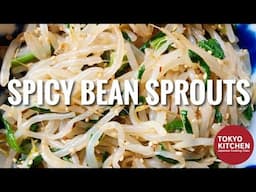 HOW TO MAKE SPICY BEAN SPROUTS