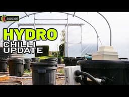 Could This Device Help? Hydroponics Update 2025.e06
