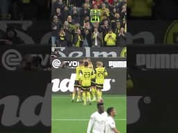 Maximilian Beier Tor BVB vs Mainz 05 - Westfalenstadion #bvb #bvb09 #westfalenstadion