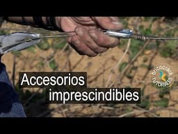 Viñedos y frutales: fijaciones y accesorios para guiar y mantenerlos sanos (Bricocrack)
