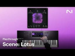 The Sounds of Scene: Lotus | Native Instruments