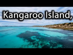 Kangaroo Island, Koalas, Seal Bay, Remarkable Rocks, Flinders Chase, Grey Nomads Australia EP-174