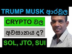 TRUMP MUSK ආරවුල CRYPTO වල අවසානය ද? | SOL, LA, SUI, AND TSLA