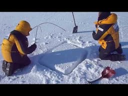 Building a shelter for scientific equipment in the Arctic