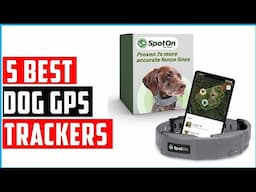 Best Dog GPS Trackers of 2025: Protect Your Pup: Best Dog GPS Trackers on the Market