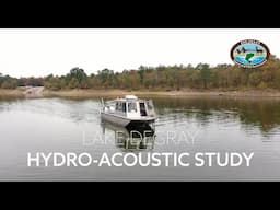 Hydro-Acoustic Shad Tracking in Arkansas