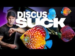 Why I'll NEVER Have A Discus Tank