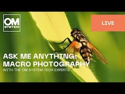 English | Ask me anything: Macro photography
