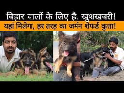 German Shephard dog in bihar. Best kennel. Cheap and best.