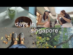 life in singapore 🌱 matcha cafes, gardens by the bay, trying bouldering (vlog)