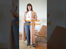 What makes a trench coat modern now!