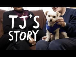 TJ to the Rescue | Battersea Stories