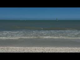 Junk to be Loved is live! Live From Marco Beach 🌴🌊☀️⛱️