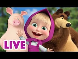 🔴 LIVE 🐻👧 Masha y el Oso 🎶✨ Club de niños 🎬 Masha and the Bear