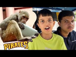 Monkey Purse Legya 🫣 Vrindavan me