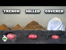 We Grew Potatoes 8 Different Ways, Here's What Happened 🥔