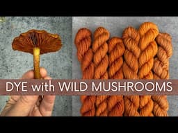 Wild Mushroom Natural Dye
