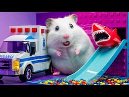 Hamster vs 100 Doors: Will It Escape?
