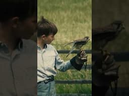 Why this scene defines the film Kes #kes #kenloach