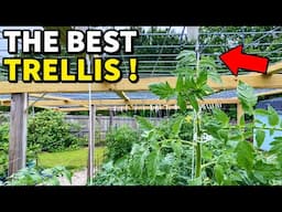 I Just Invented The BEST Vegetable Garden Trellis Ever!