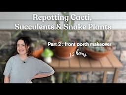 Massive Cacti, Succulent, & Snake Plant Repot! 🌵 | Part 2: The Front Porch