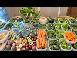 What are you harvesting in April ~ here’s my first weekly pick